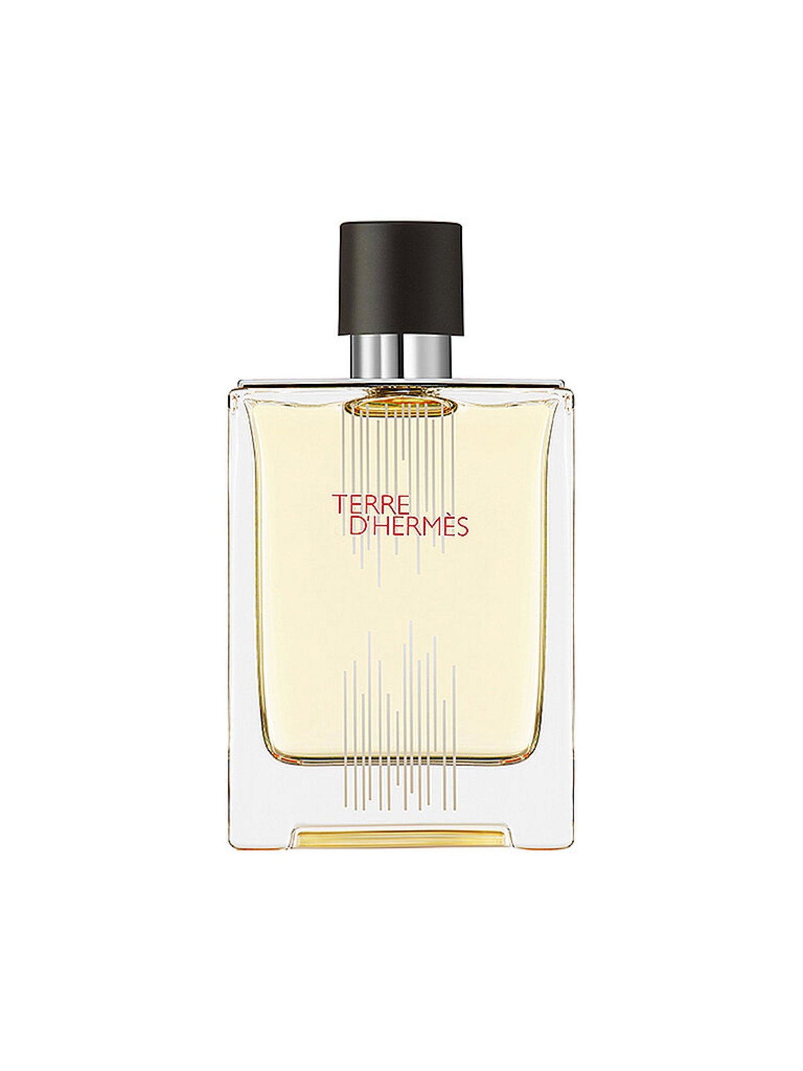 Hermes, Terre d'Hermes Flacon H Limited Edition, Apă de toaletă, Pentru bărbați, 100 ml