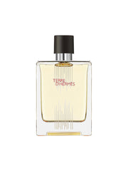 Hermes, Terre d'Hermes Flacon H Limited Edition, Apă de toaletă, Pentru bărbați, 100 ml