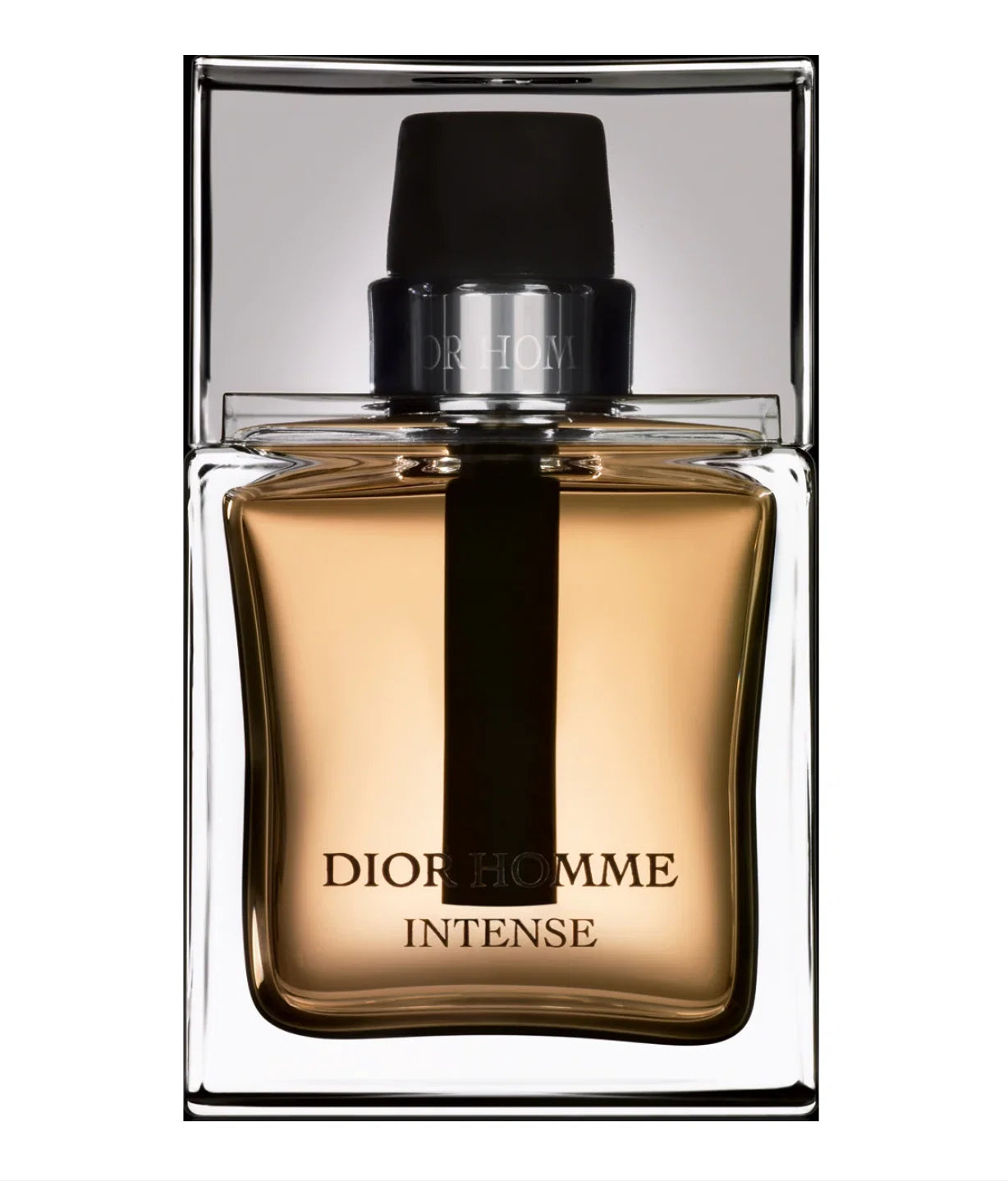 Christian Dior, Dior Homme Intense, Apă de parfum, Pentru bărbați, 100 ml