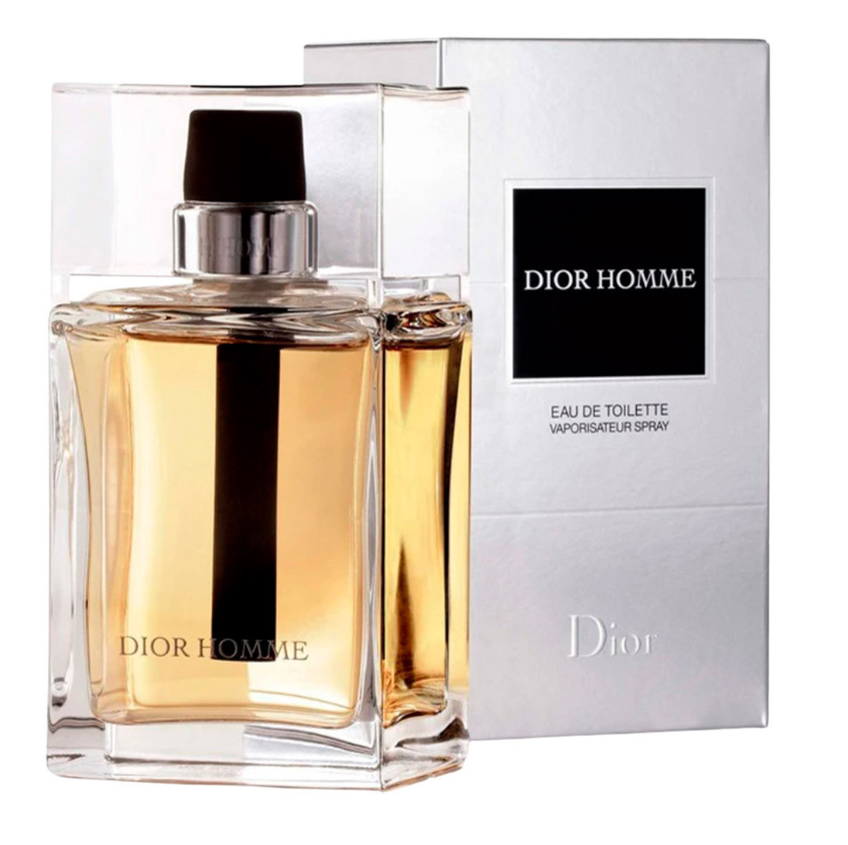 Christian Dior, Dior Homme, Apă de toaletă, Pentru bărbați, 100 ml