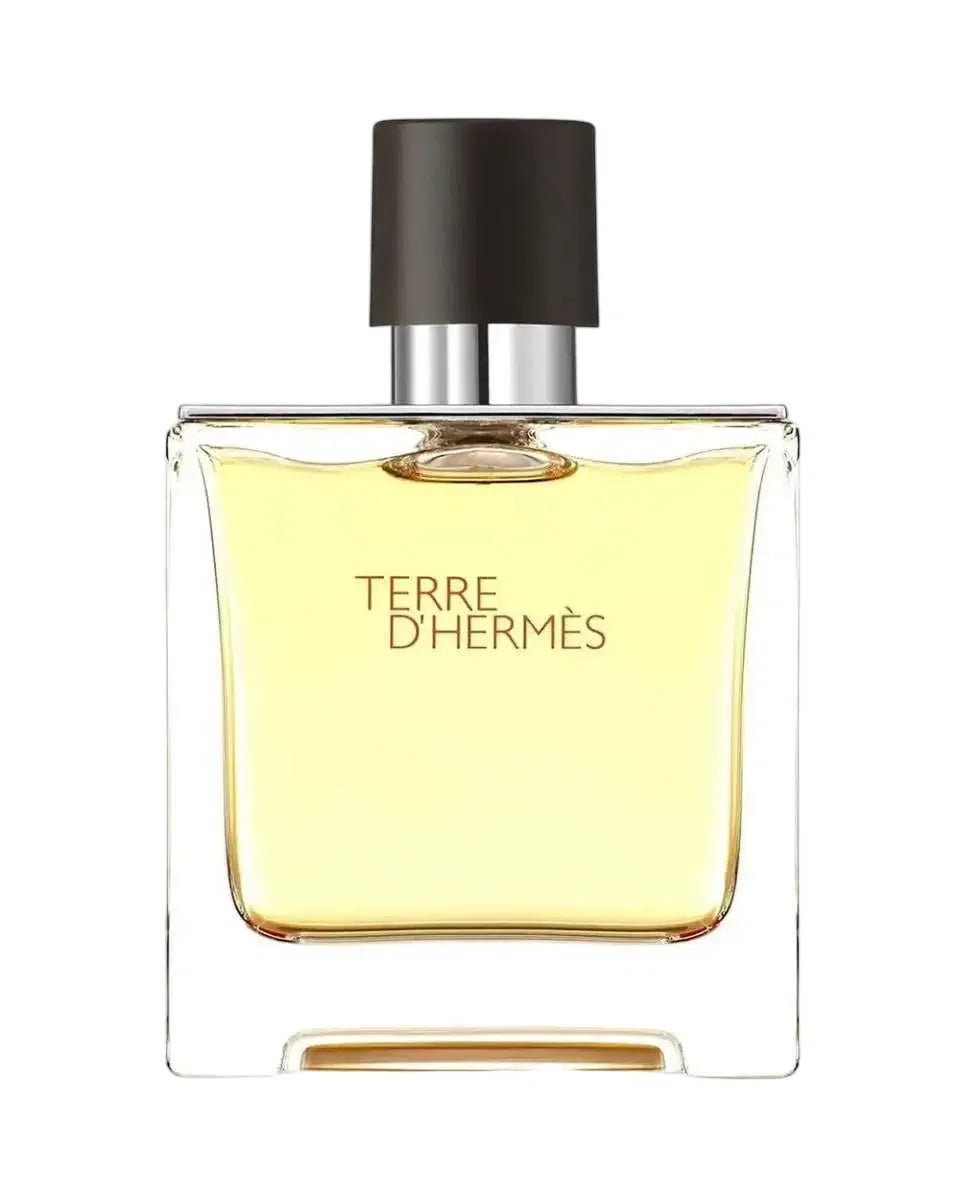 Hermes, Terre d'Hermes, Apă de parfum, Pentru bărbați, 75 ml *Tester