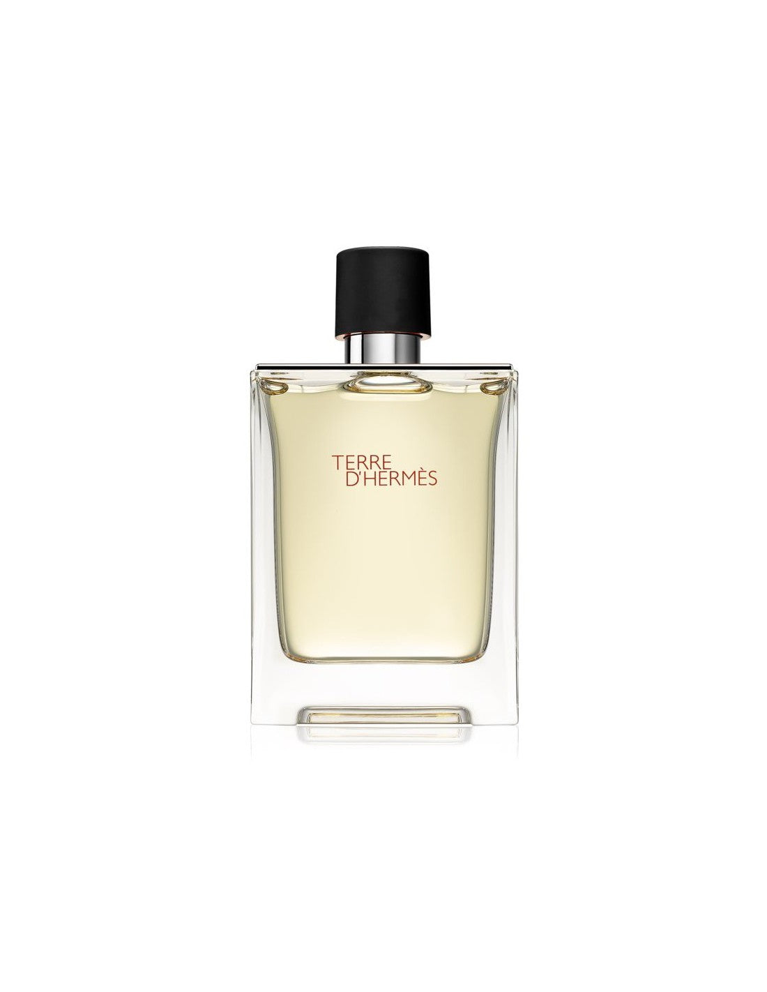 Hermes, Terre d'Hermes, Apă de toaletă, Pentru bărbați, 100 ml