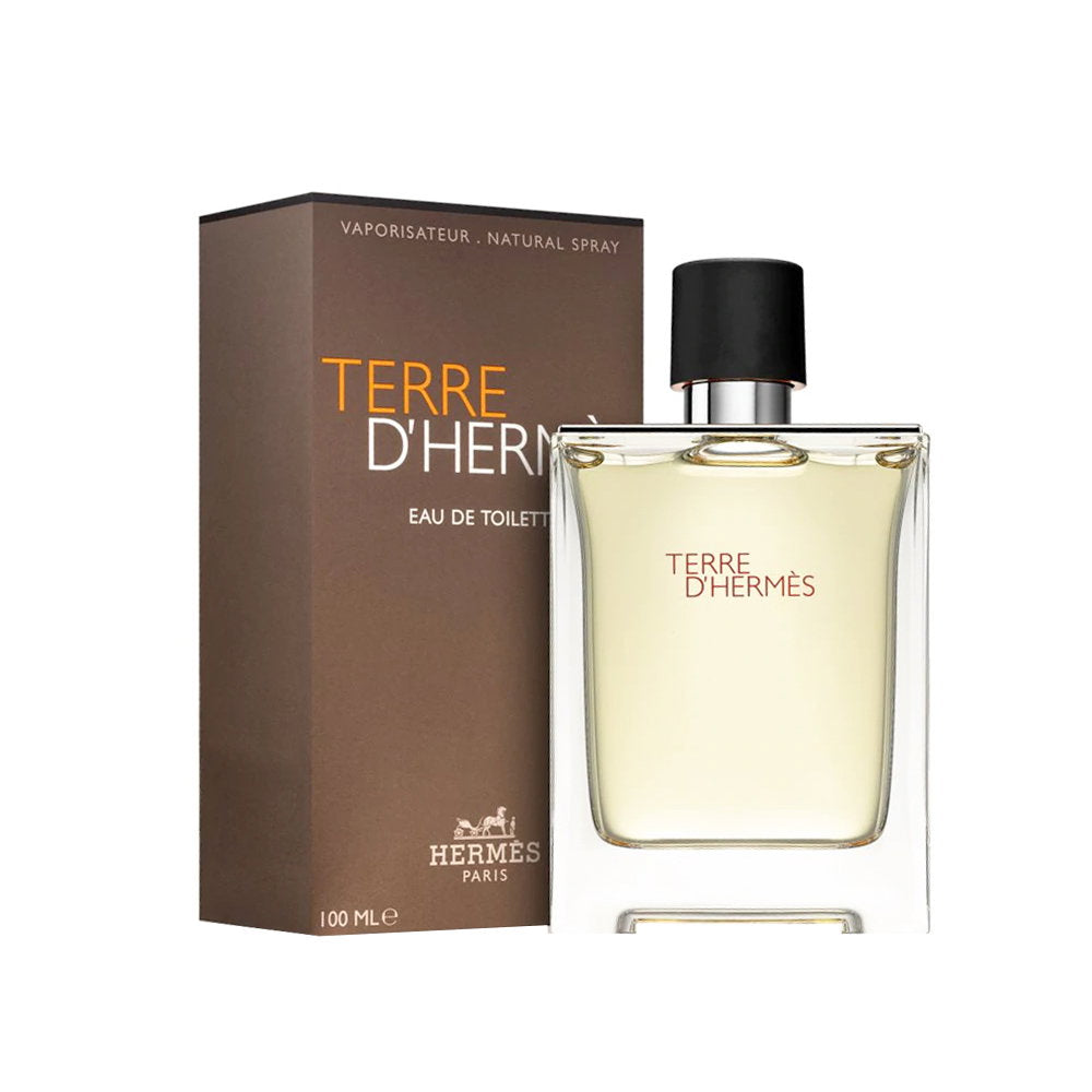 Hermes, Terre d'Hermes, Apă de toaletă, Pentru bărbați, 100 ml