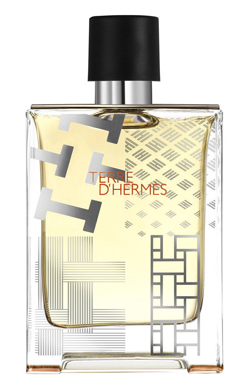 Hermes, Terre d'Hermes Flacon H Limited Edition, Apă de toaletă, Pentru bărbați, 100 ml