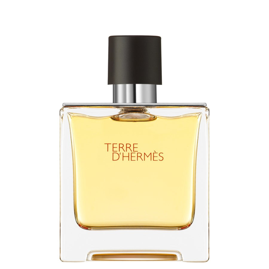 Hermes, Terre d'Hermes, Parfum, Pentru bărbați, 75 ml