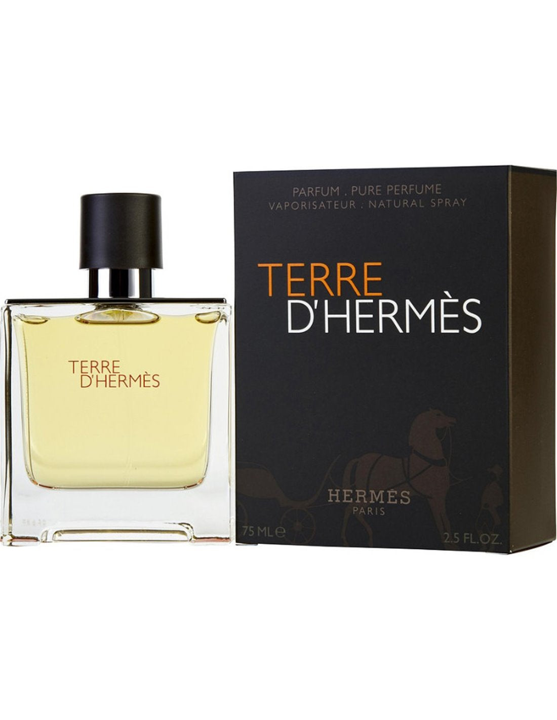 Hermes, Terre d'Hermes, Parfum, Pentru bărbați, 75 ml